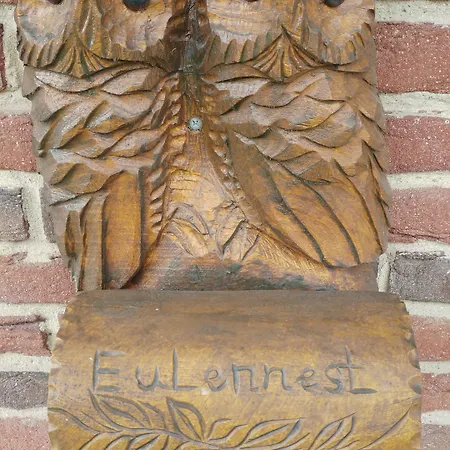 艾乌尔内斯特旅馆 4* 塔普