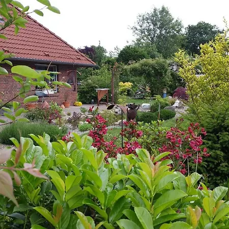 艾乌尔内斯特旅馆 塔普