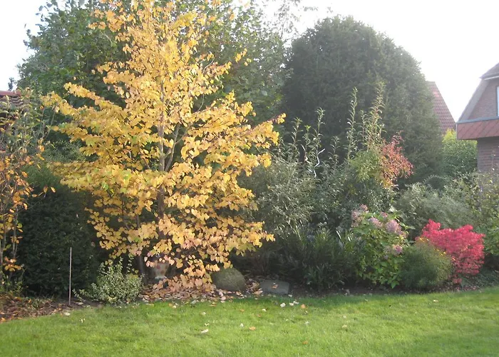 Πανσιόν Eulennest 4*